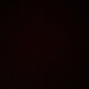 Meet your Posher, Luis